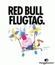 game pic for Red Bull Flugtag